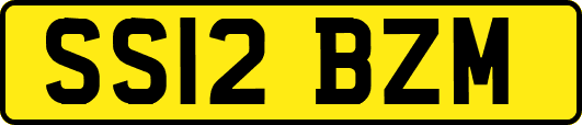 SS12BZM