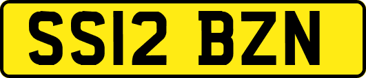 SS12BZN