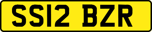SS12BZR