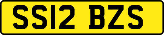 SS12BZS