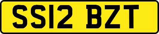 SS12BZT