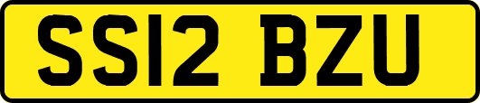 SS12BZU