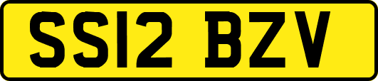 SS12BZV