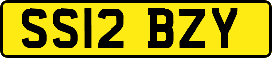 SS12BZY