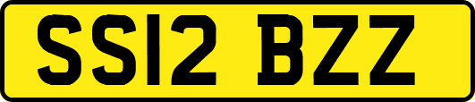 SS12BZZ