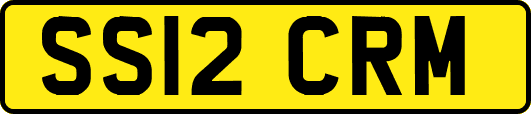 SS12CRM