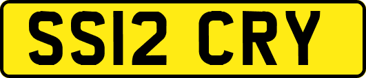 SS12CRY