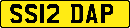 SS12DAP