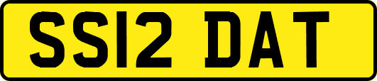 SS12DAT