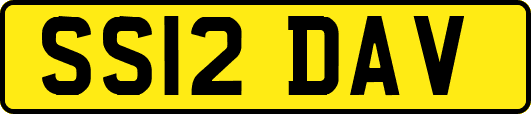 SS12DAV