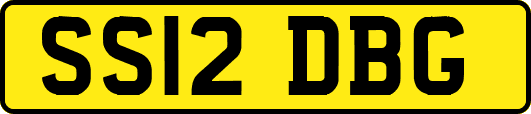 SS12DBG
