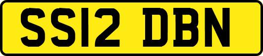 SS12DBN