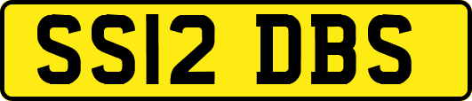 SS12DBS