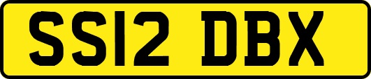SS12DBX