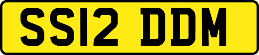 SS12DDM