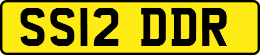 SS12DDR