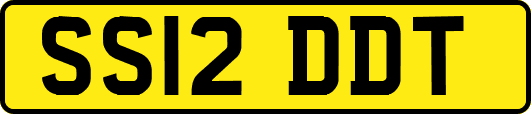 SS12DDT