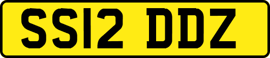SS12DDZ