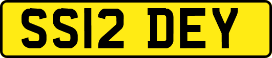 SS12DEY