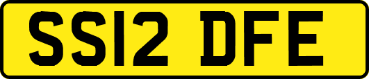 SS12DFE