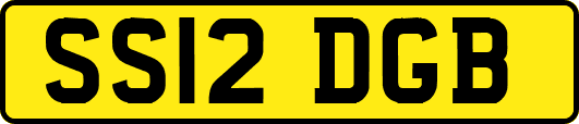 SS12DGB