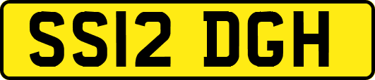 SS12DGH
