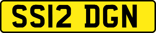 SS12DGN