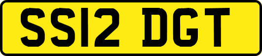 SS12DGT