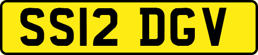 SS12DGV