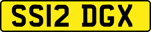 SS12DGX