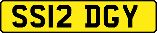SS12DGY
