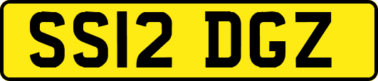 SS12DGZ