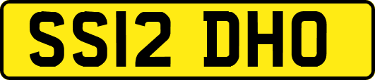 SS12DHO