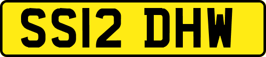 SS12DHW