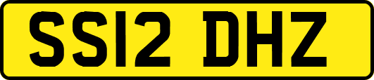 SS12DHZ