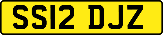 SS12DJZ