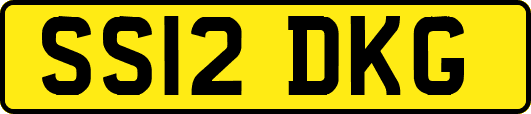 SS12DKG
