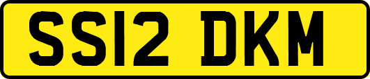 SS12DKM
