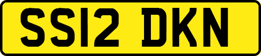 SS12DKN