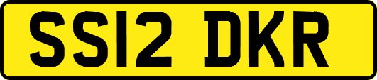 SS12DKR