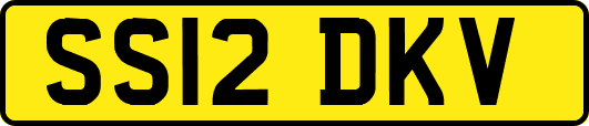 SS12DKV