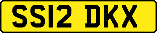 SS12DKX