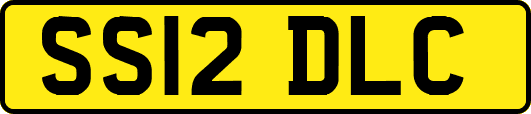 SS12DLC