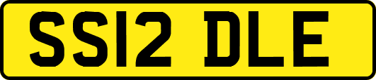 SS12DLE