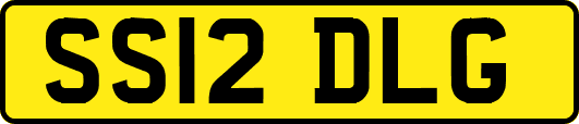 SS12DLG