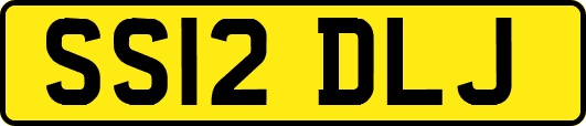 SS12DLJ