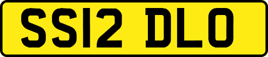 SS12DLO