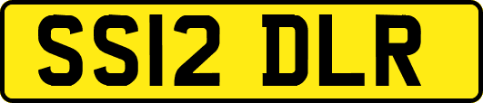 SS12DLR