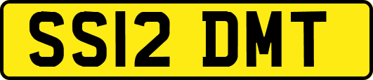 SS12DMT