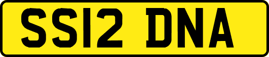SS12DNA